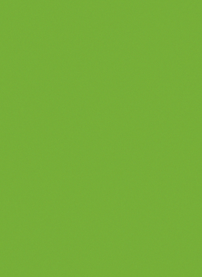 Wasabi Green Cardstock Paper