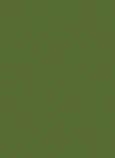 Olive Green Cardstock Paper