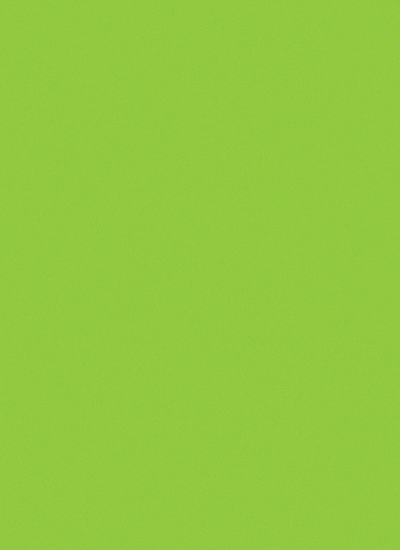 Key Lime Cardstock Paper