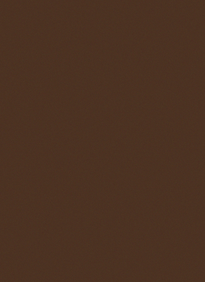 Belgian Chocolate Cardstock Paper