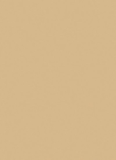 Beach Sand Tan Cardstock Paper